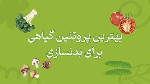 بهترین پروتئین گیاهی برای بدنسازی